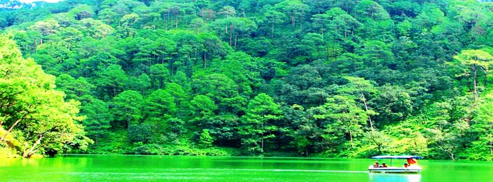 1823/Country Inn - Sattal 09.jpg